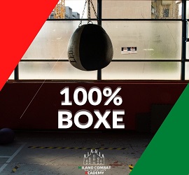 100 BOXE 270X250